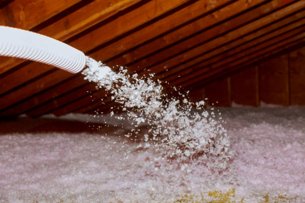 Best Insulation Maintenance and Repair in Bay Park, NY